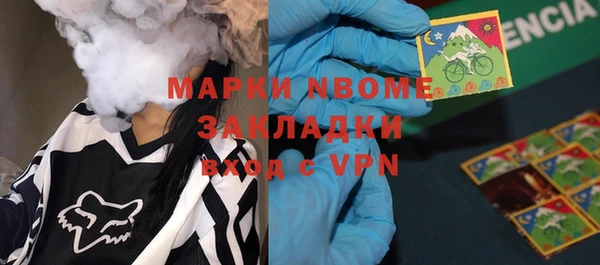 прущие грибы Осташков