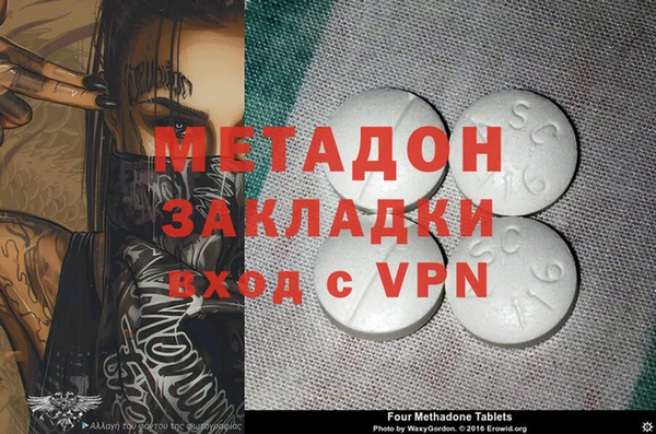 прущие грибы Осташков