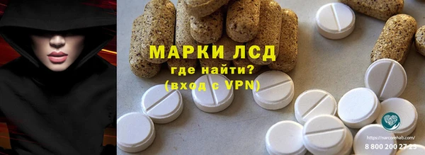 прущие грибы Осташков