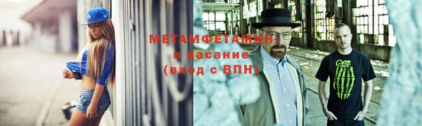 прущие грибы Осташков