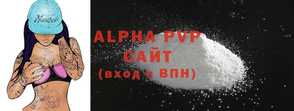 прущие грибы Осташков