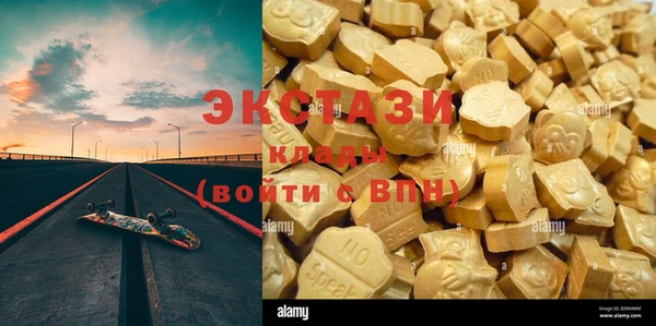 прущие грибы Осташков