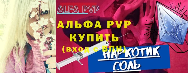 прущие грибы Осташков