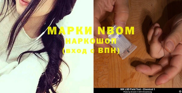 прущие грибы Осташков