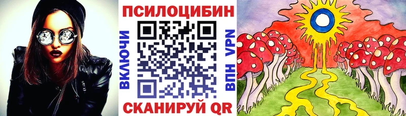 omg рабочий сайт  Родники  Псилоцибиновые грибы Psilocybe 