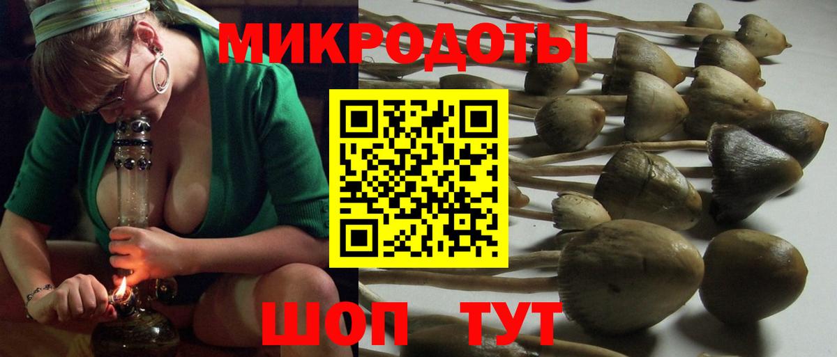 Галлюциногенные грибы прущие грибы Родники