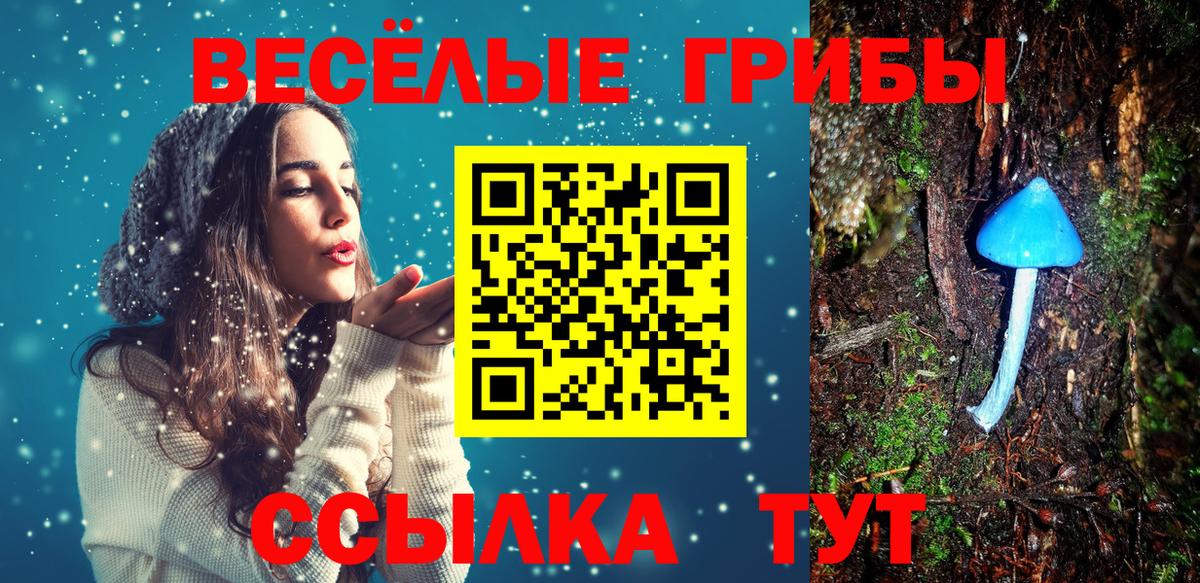 Галлюциногенные грибы Psilocybine cubensis  Вход с VPN  Родники  Псилоцибиновые грибы ЛСД 