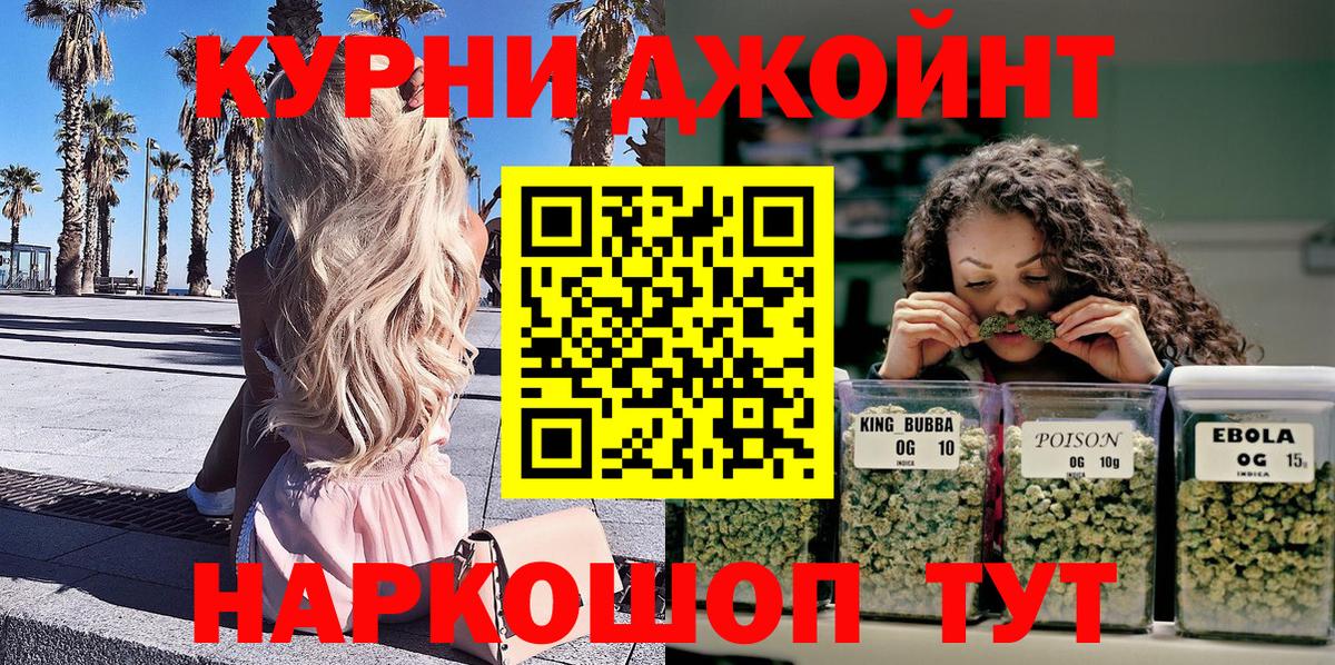 Конопля OG Kush Родники